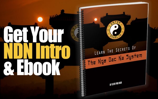 Entra Shaolin |  Obtenga sus videos de introducción y libros electrónicos de Ngo Dac Na aquí.