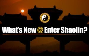 ¿Qué hay de nuevo @ Enter Shaolin?