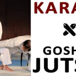 ¿Qué es el Karate Goshin Jutsu?