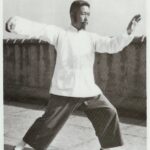 Tai Chi 8 nombres de formas (estilo Yang) »Entra Shaolin