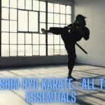 Isshin Ryu Karate: ¡Todo lo esencial!