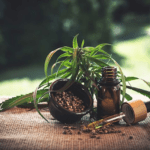 6 Ways CBD Oil Is Beneficial For Athletes
